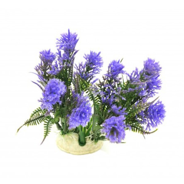 ΔΙΑΚΟΣΜΗΤΙΚΟ ΦΥΤΟ ΕΝΥΔΡΕΙΟΥ